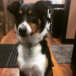 Meet your Posher, Nick